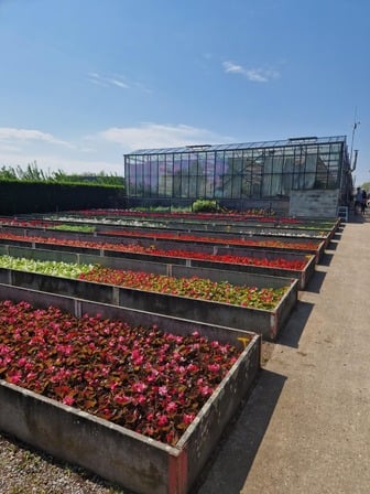 Service des plantations