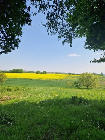 Vue de Milmort