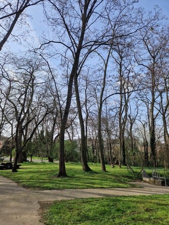 Parc Marexhe